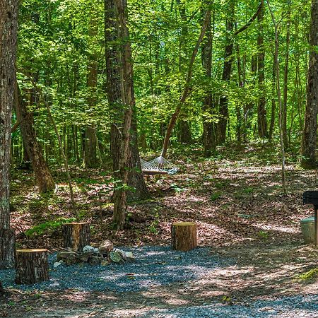 Coyote Cabin At Woodland Retreat At Desoto Beside Desoto State Park Fort Payne Bagian luar foto