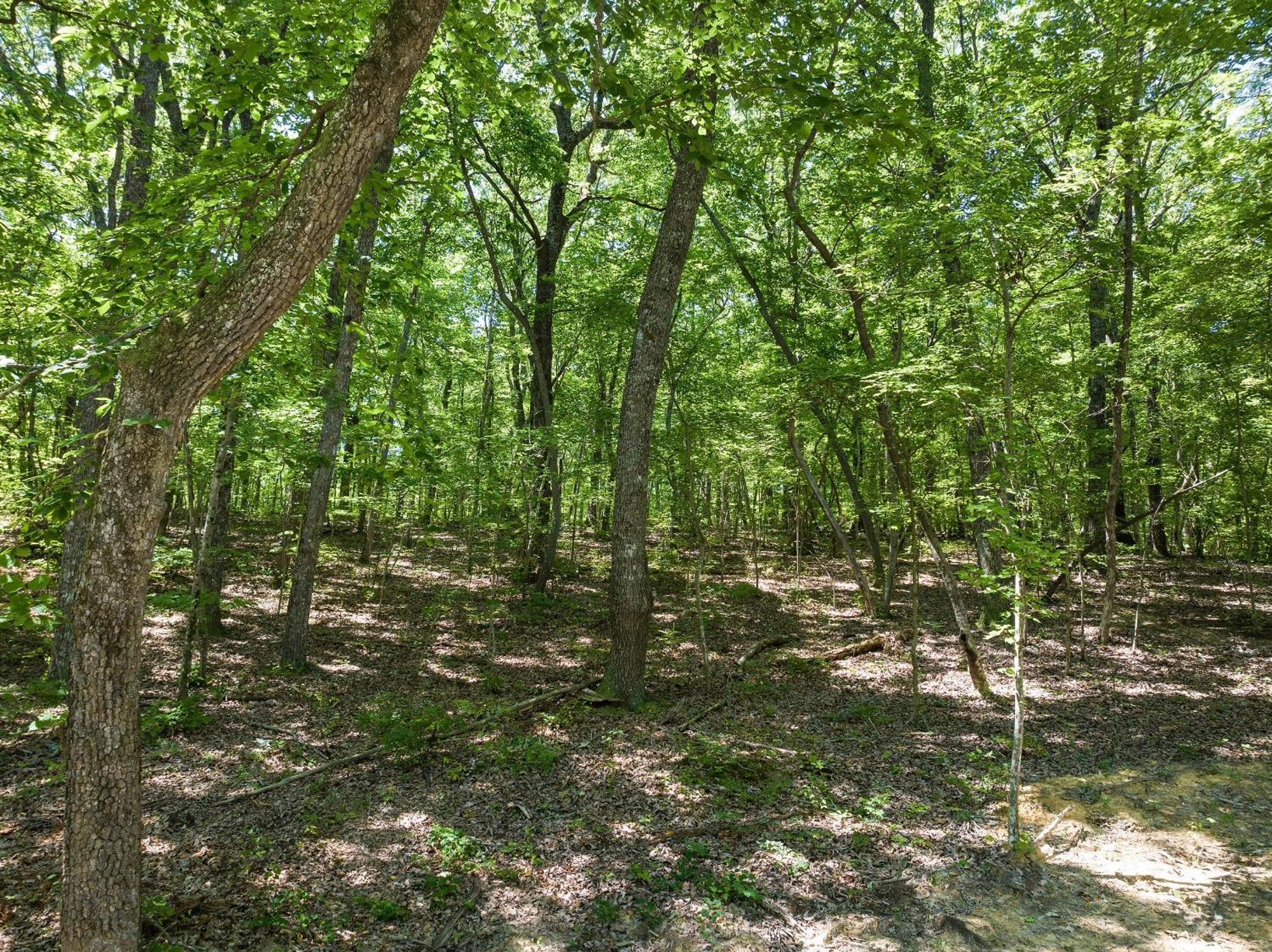 Coyote Cabin At Woodland Retreat At Desoto Beside Desoto State Park Fort Payne Bagian luar foto