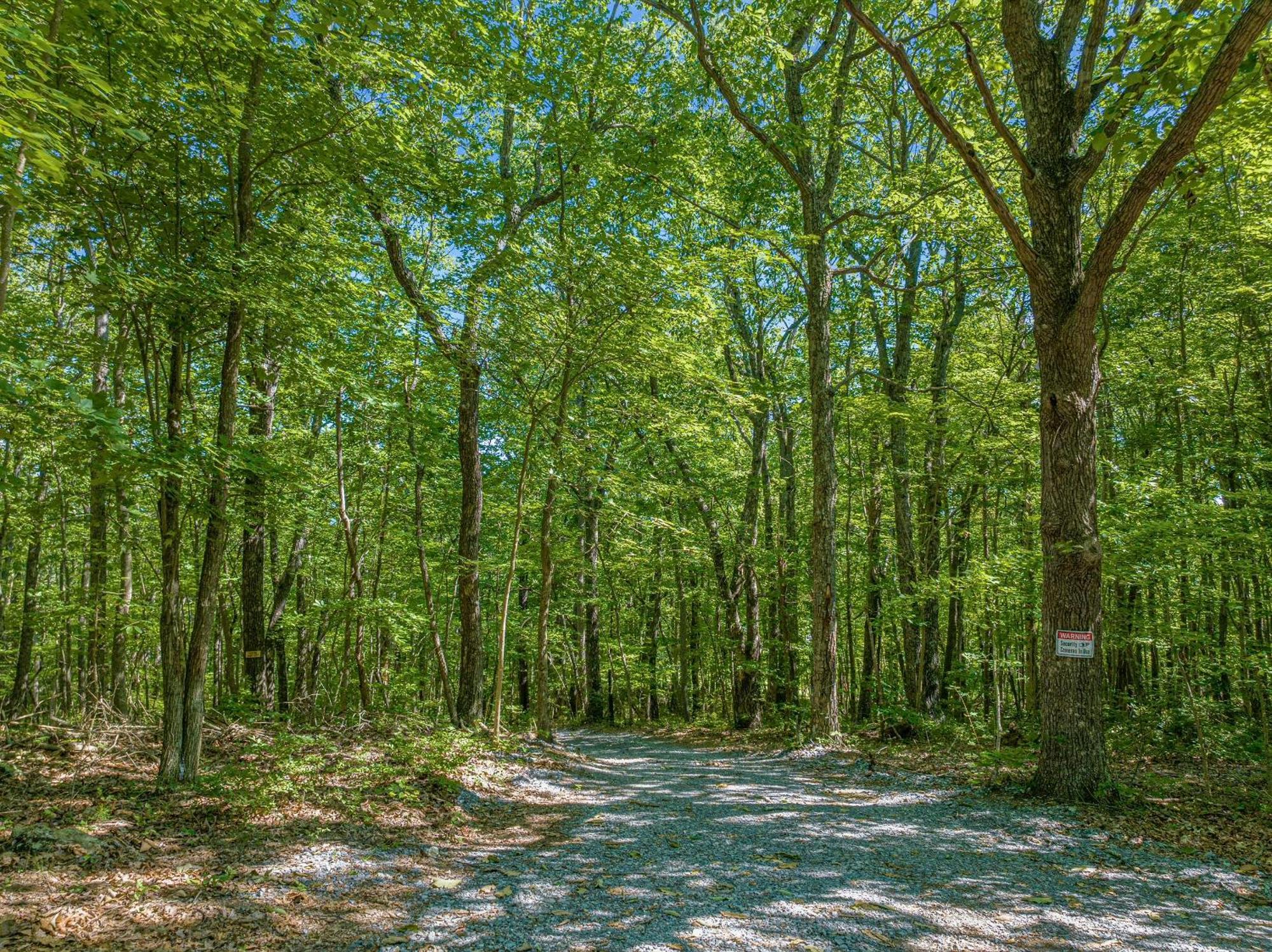 Coyote Cabin At Woodland Retreat At Desoto Beside Desoto State Park Fort Payne Bagian luar foto