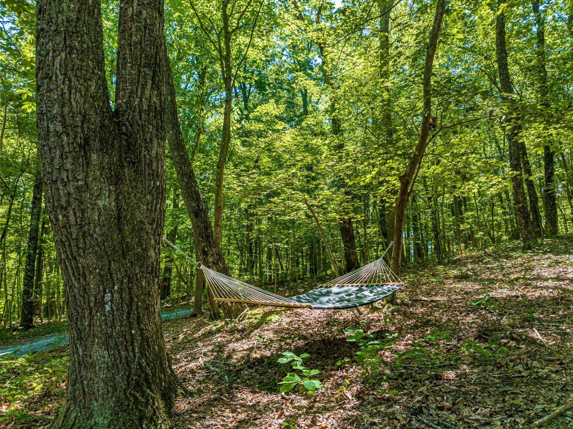 Coyote Cabin At Woodland Retreat At Desoto Beside Desoto State Park Fort Payne Bagian luar foto